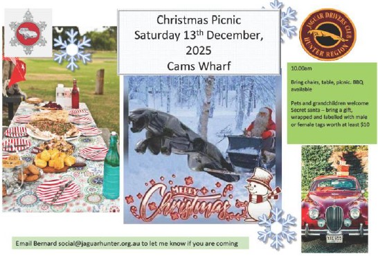 2025 - Christmas Picnic